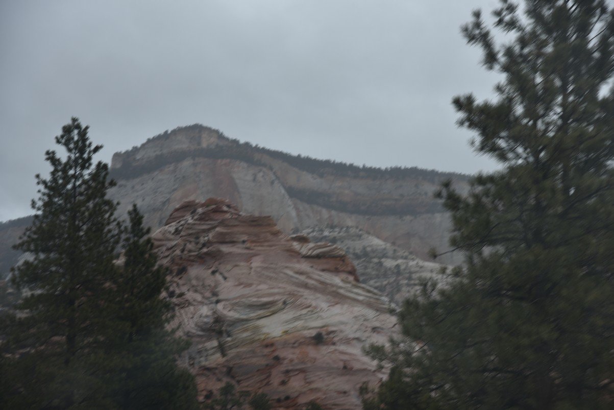 dsc_6576_fs.jpg