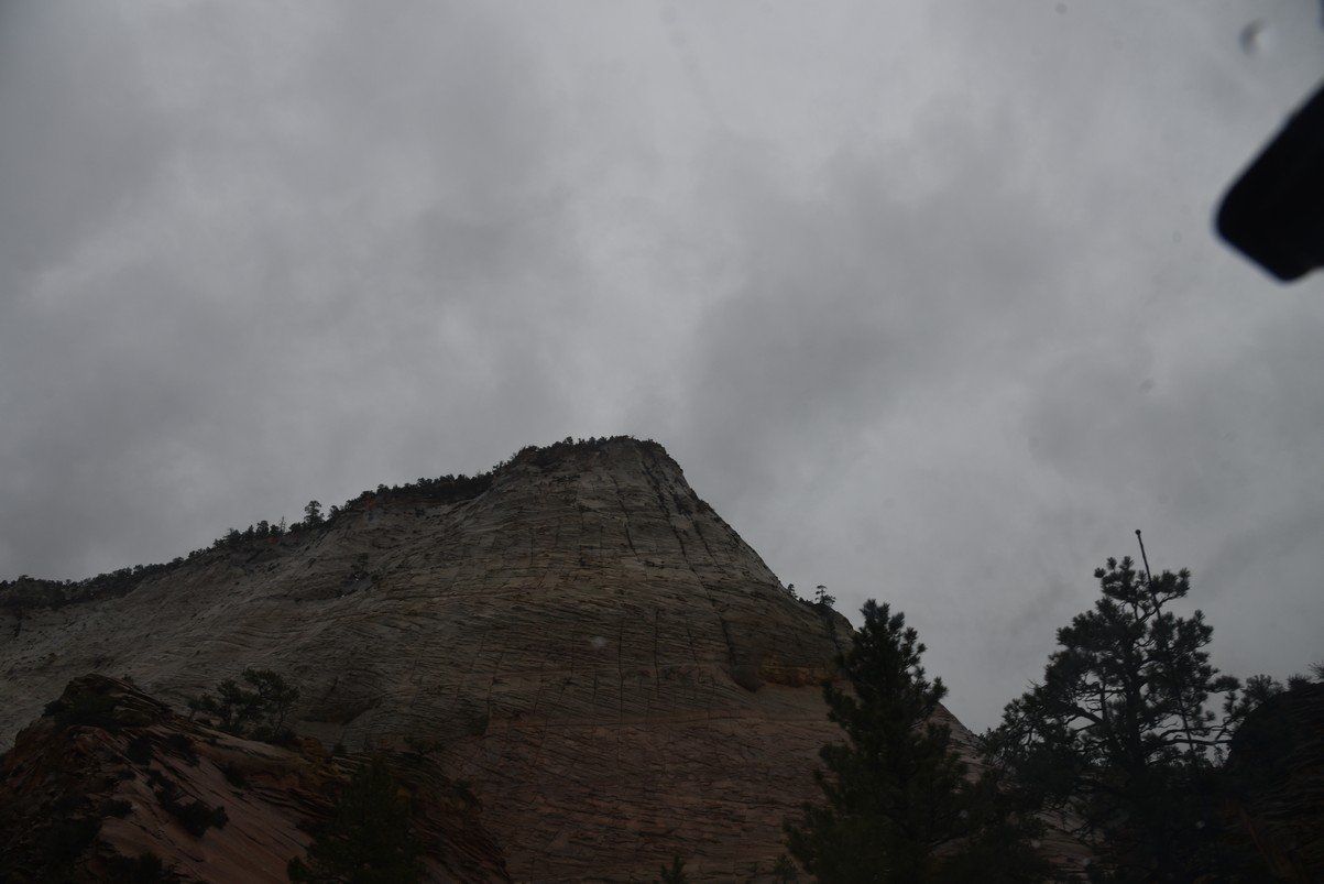 dsc_6581_fs.jpg
