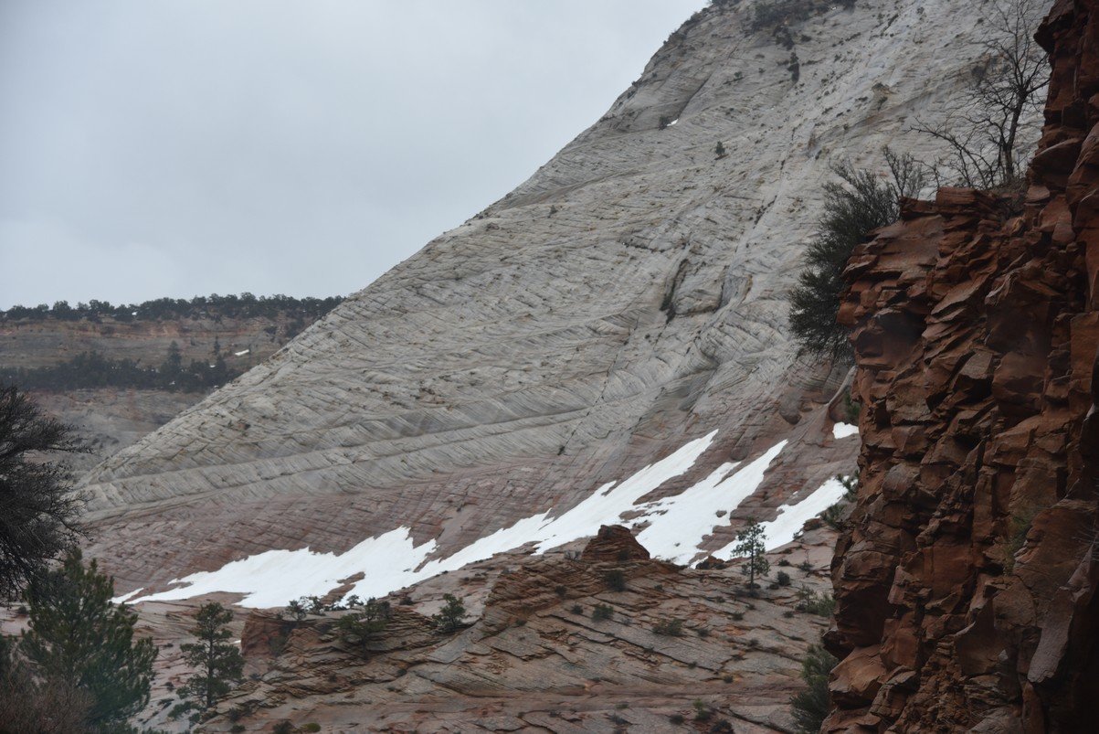 dsc_6584_fs.jpg