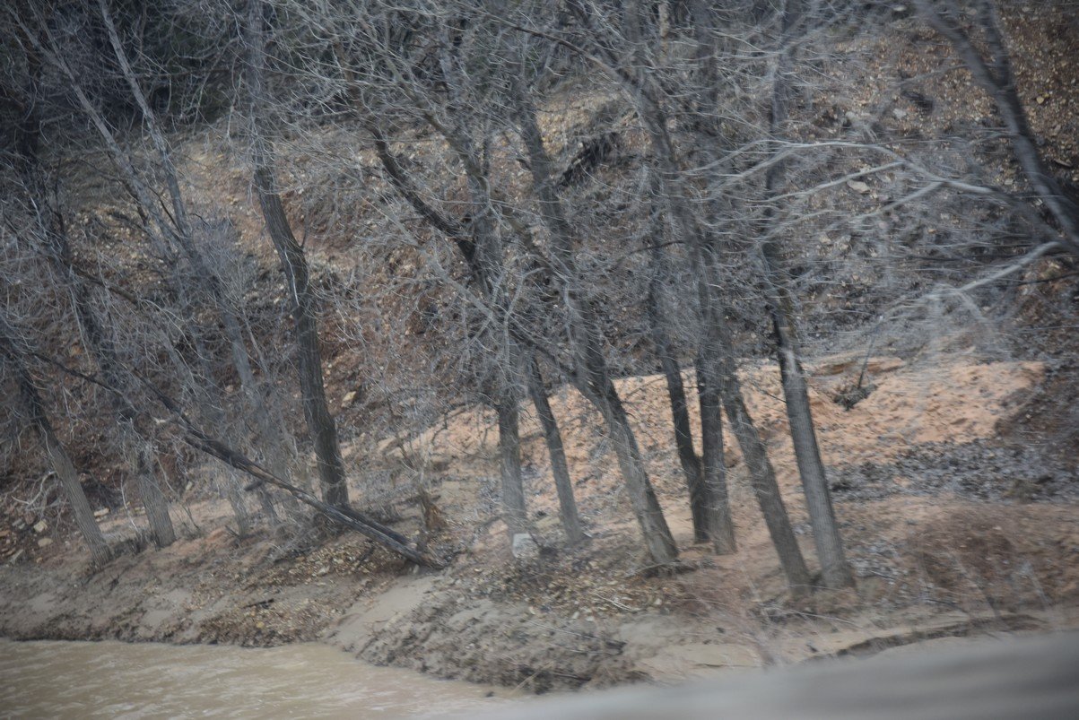 dsc_6600_fs.jpg