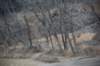 dsc_6600_fs_small.jpg