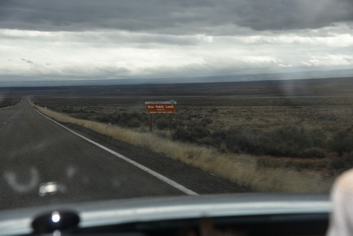 dsc_6606kaibabnationalforest.jpg