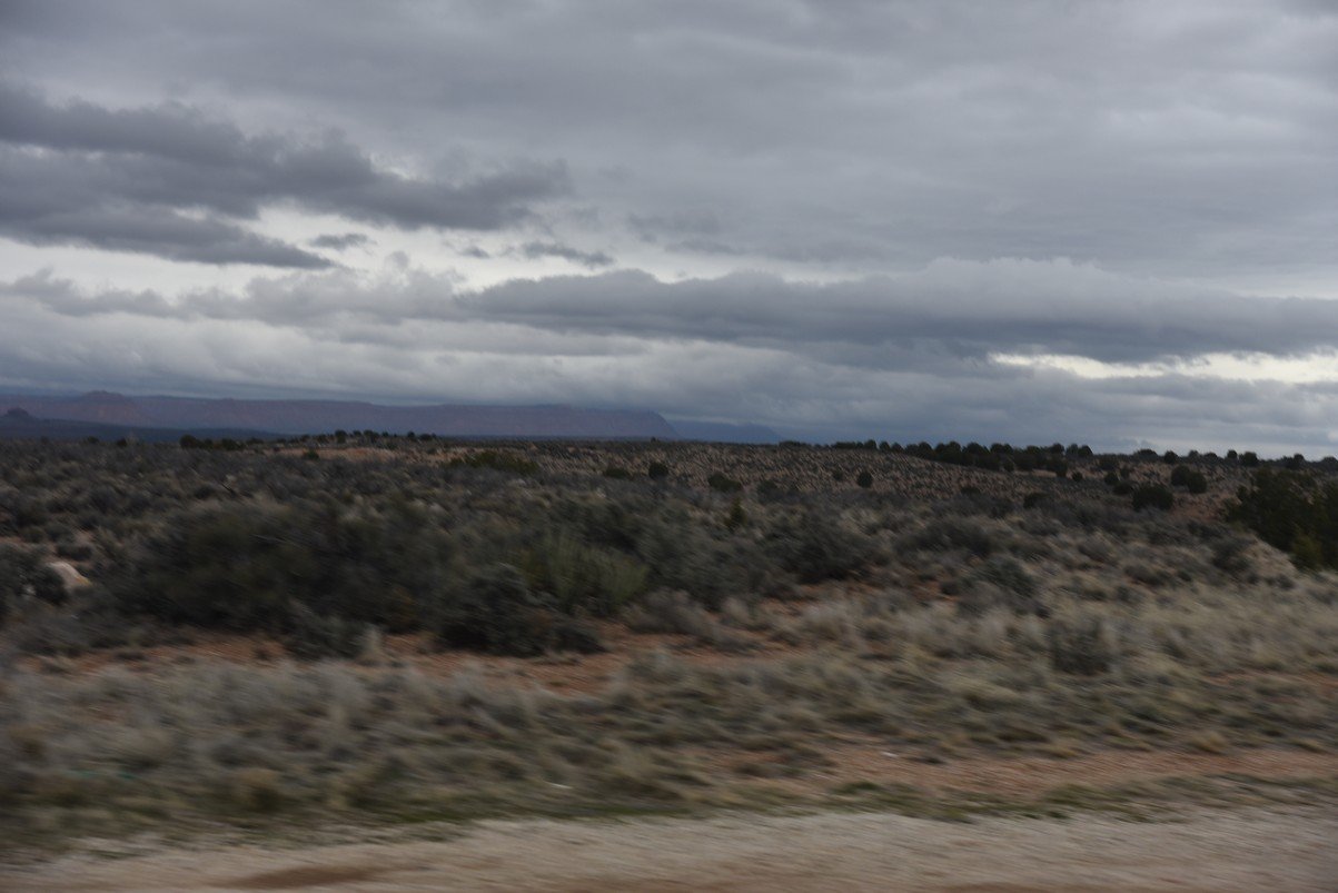 dsc_6608_fs.jpg
