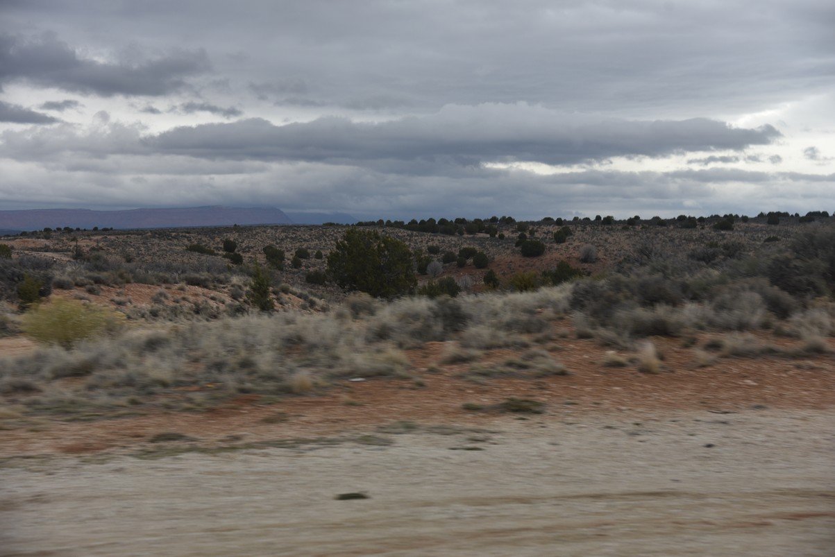dsc_6609_fs.jpg