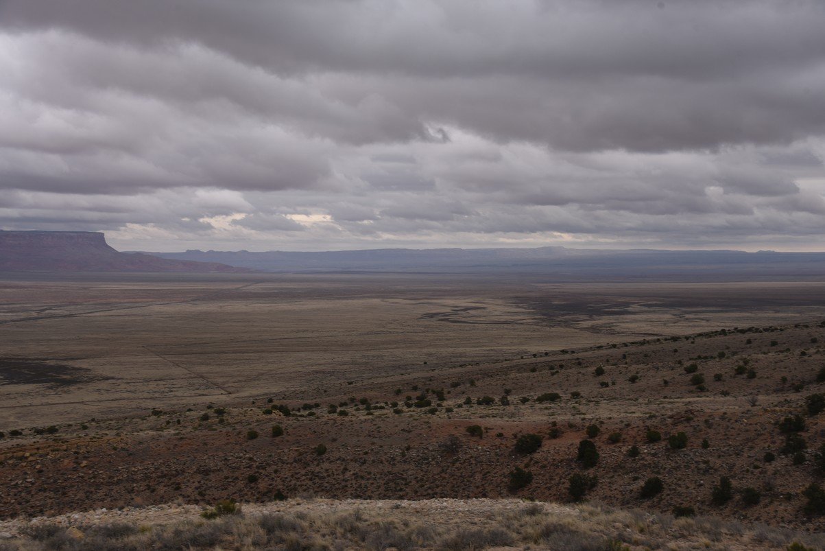 dsc_6650_fs.jpg