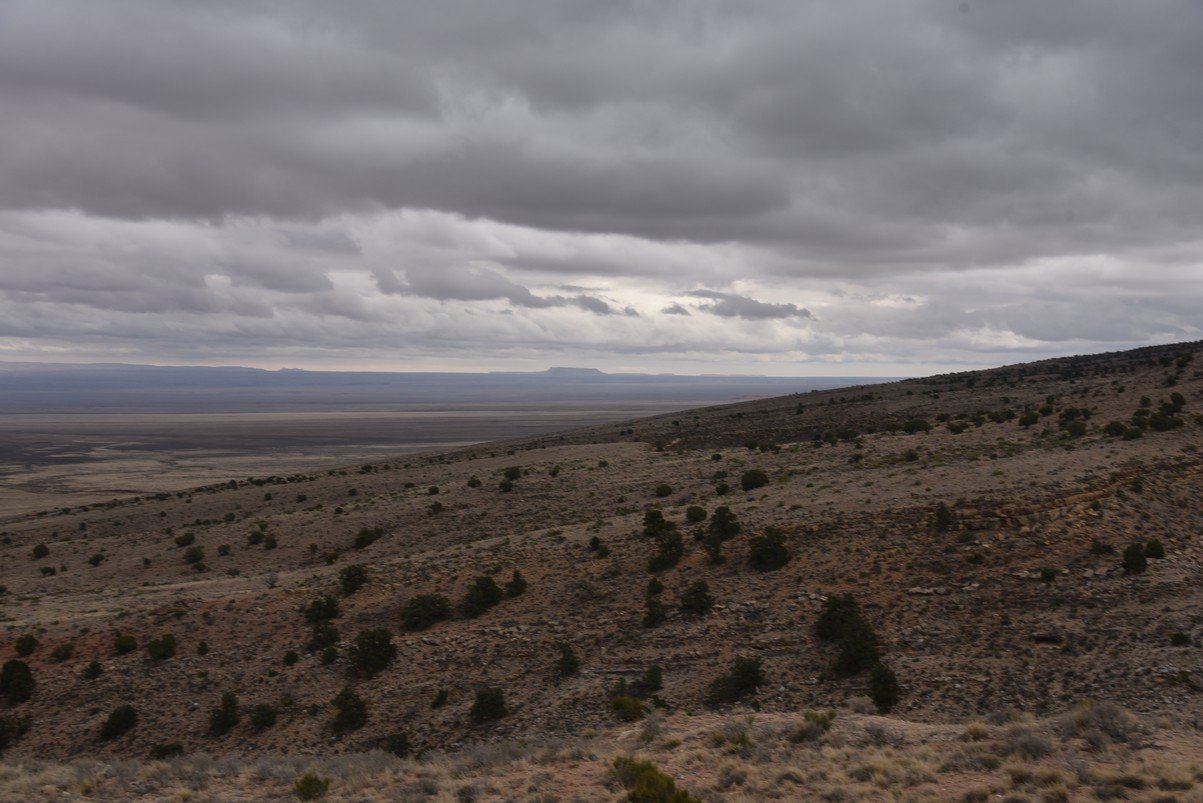 dsc_6652_fs.jpg