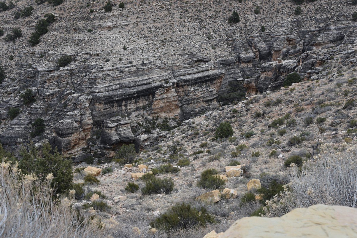 dsc_6658_fs.jpg