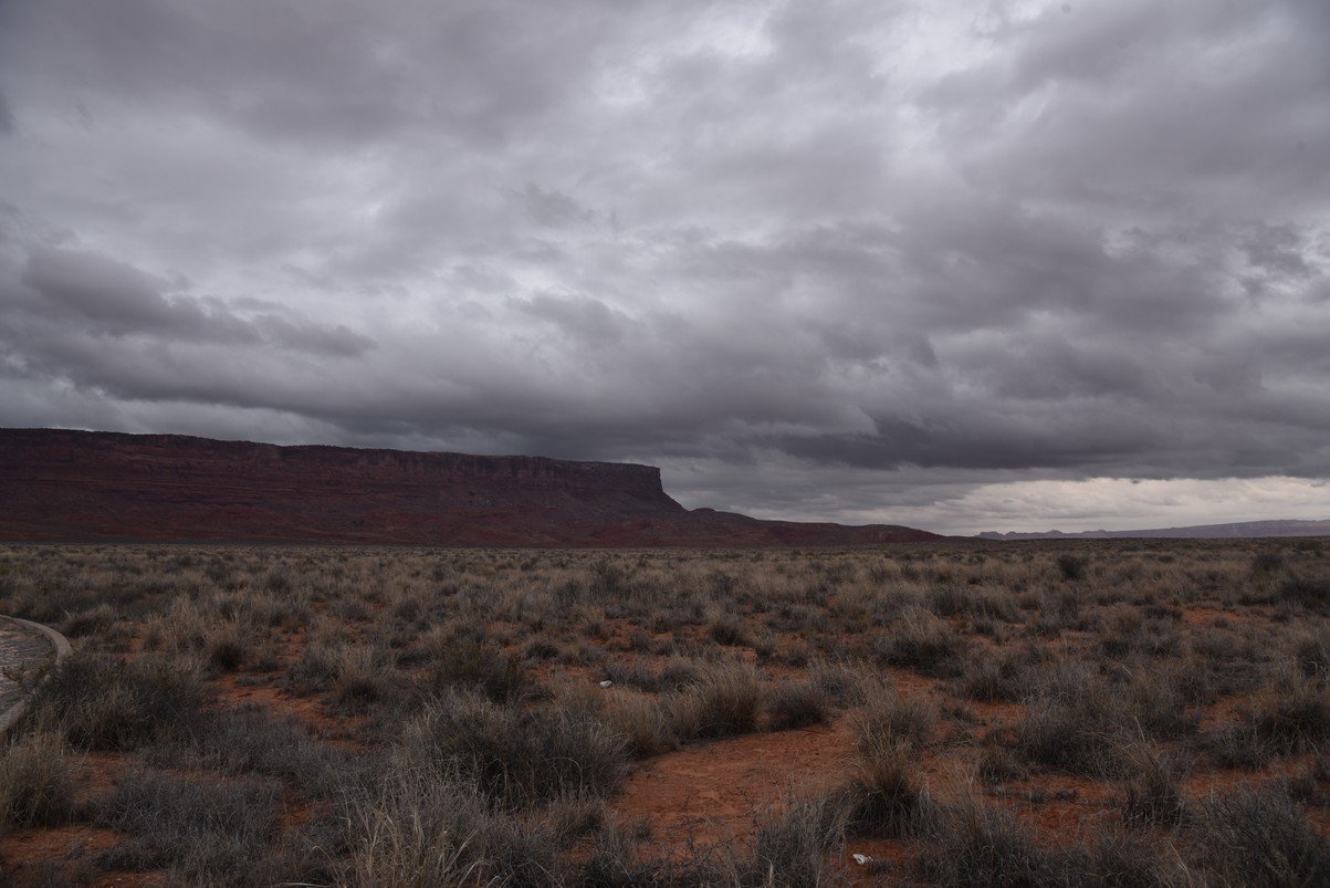 dsc_6679_fs.jpg