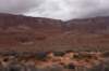 dsc_6686_fs_small.jpg