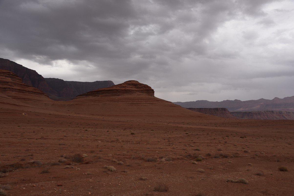 dsc_6719_fs.jpg