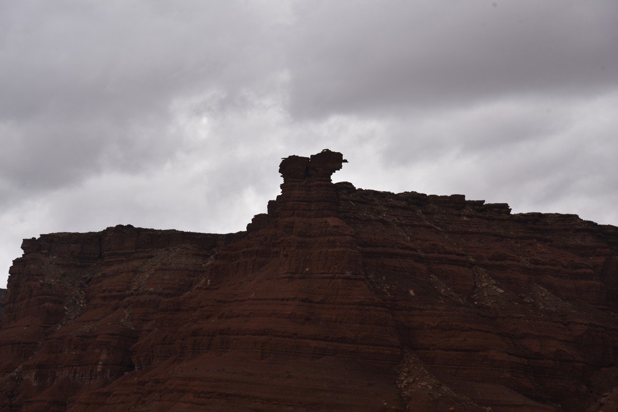 dsc_6730_fs.jpg