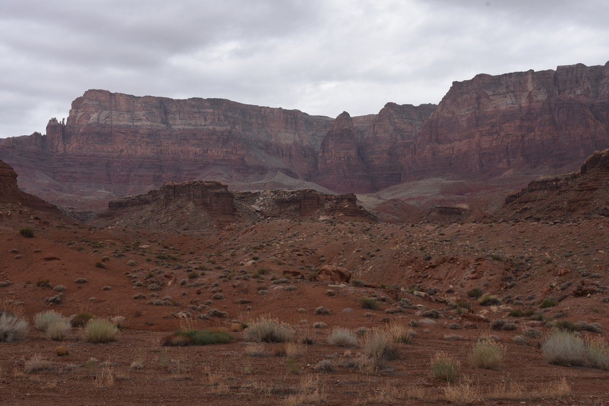 dsc_6733_fs.jpg