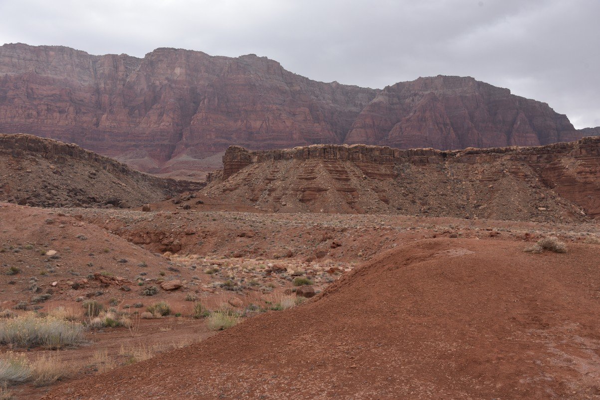 dsc_6735_fs.jpg