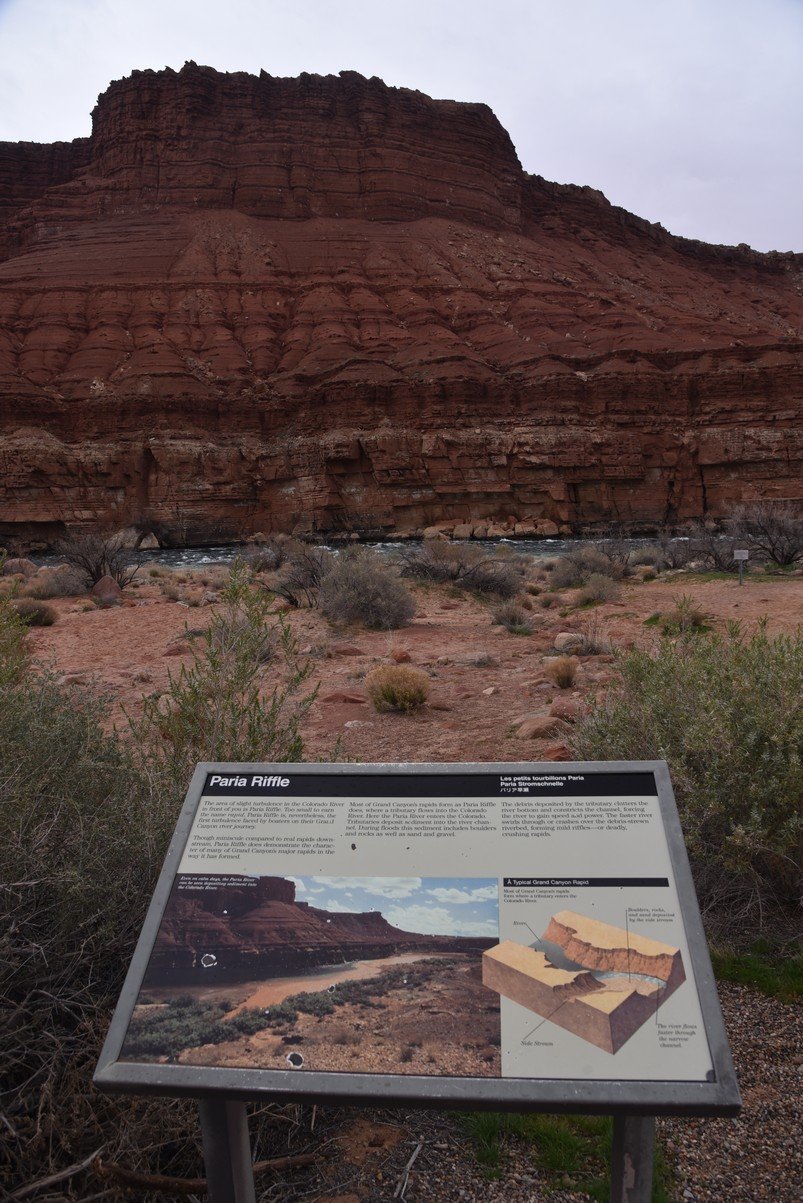 dsc_6746_fs.jpg