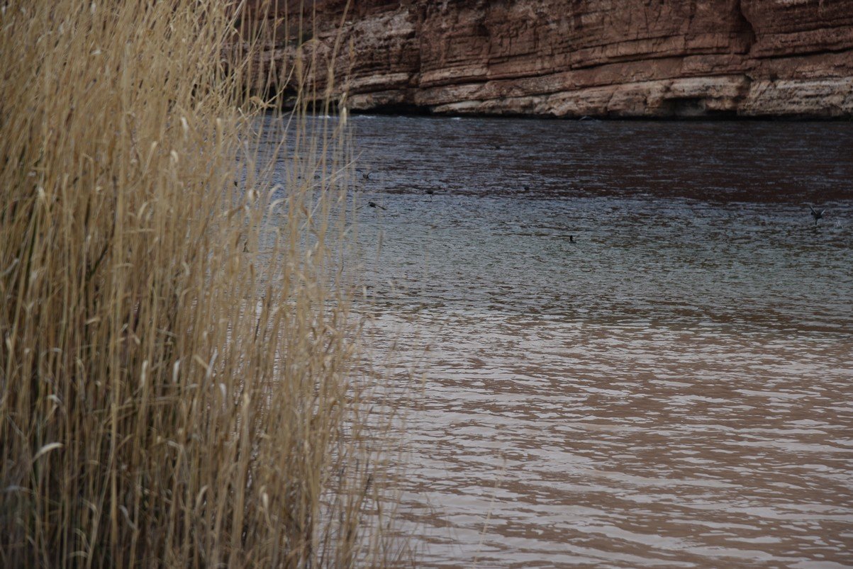 dsc_6774_fs.jpg