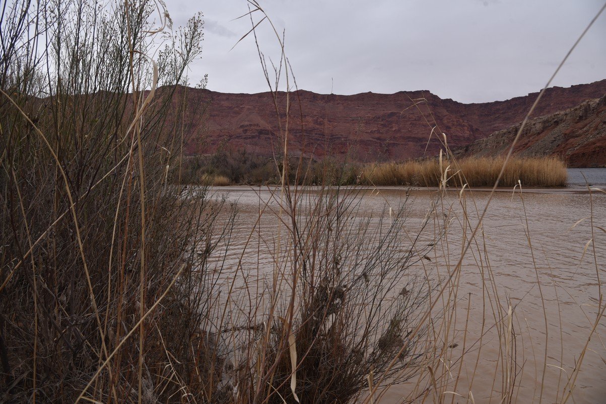 dsc_6777_fs.jpg