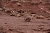 dsc_6786_fs_small.jpg