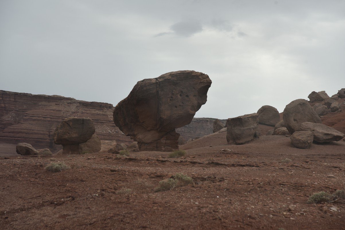 dsc_6787_fs.jpg