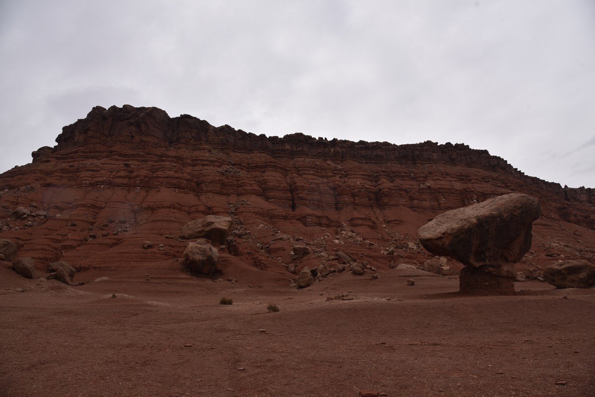 dsc_6790_fs.jpg