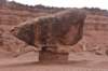 dsc_6791_fs_small.jpg