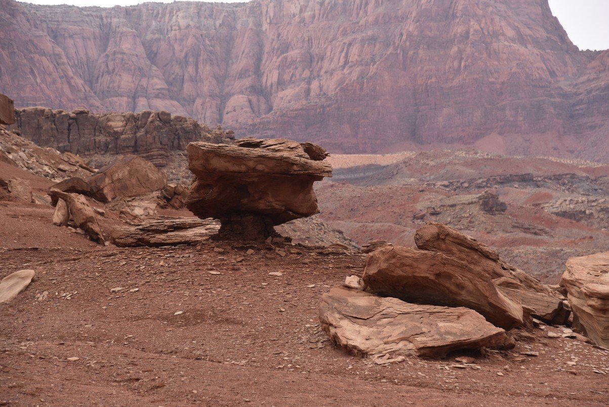 dsc_6793_fs.jpg