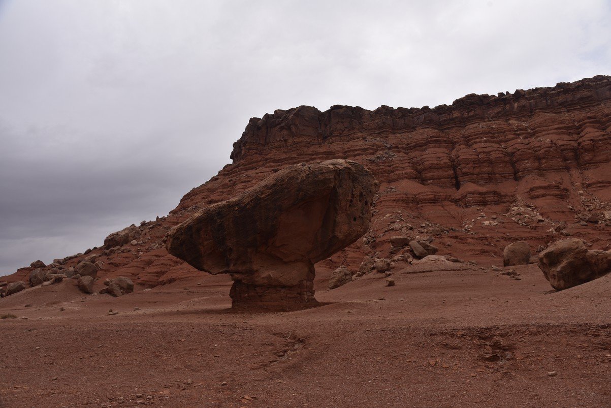 dsc_6797_fs.jpg