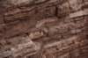 dsc_6834_fs_small.jpg