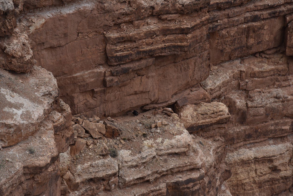 dsc_6837_fs.jpg