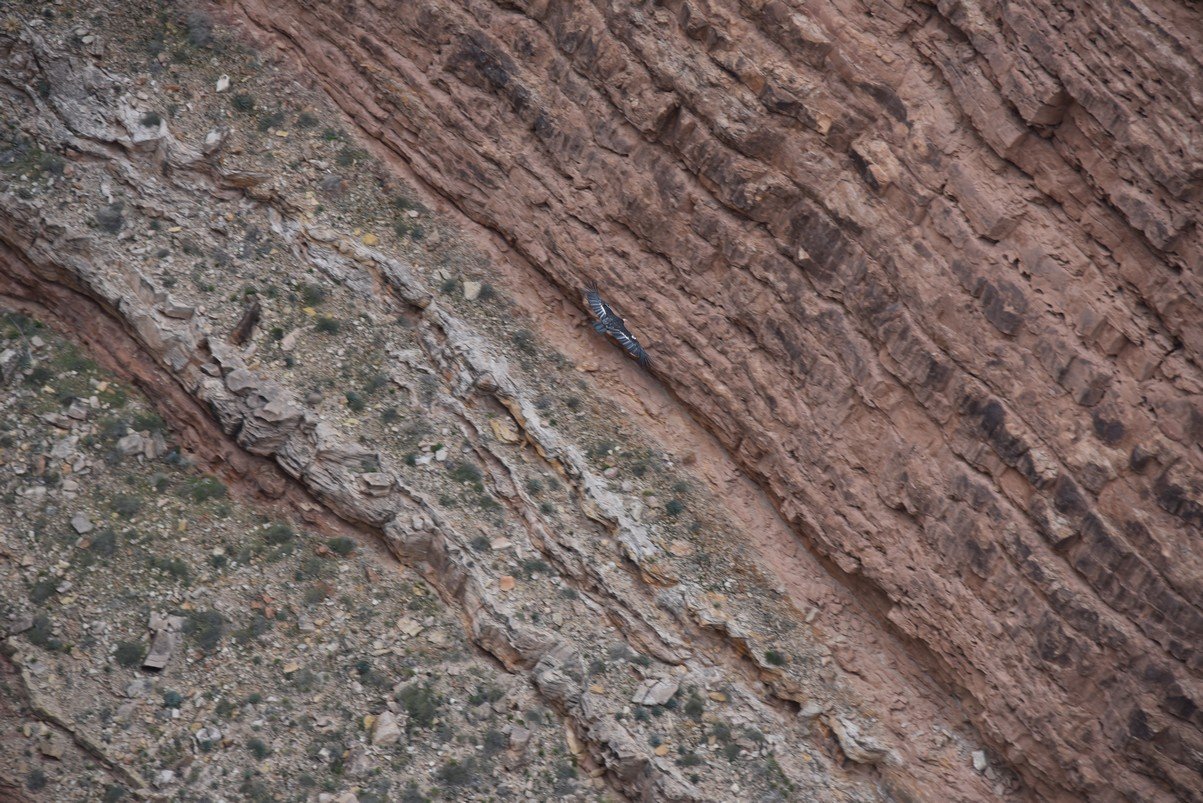 dsc_6841_fs.jpg