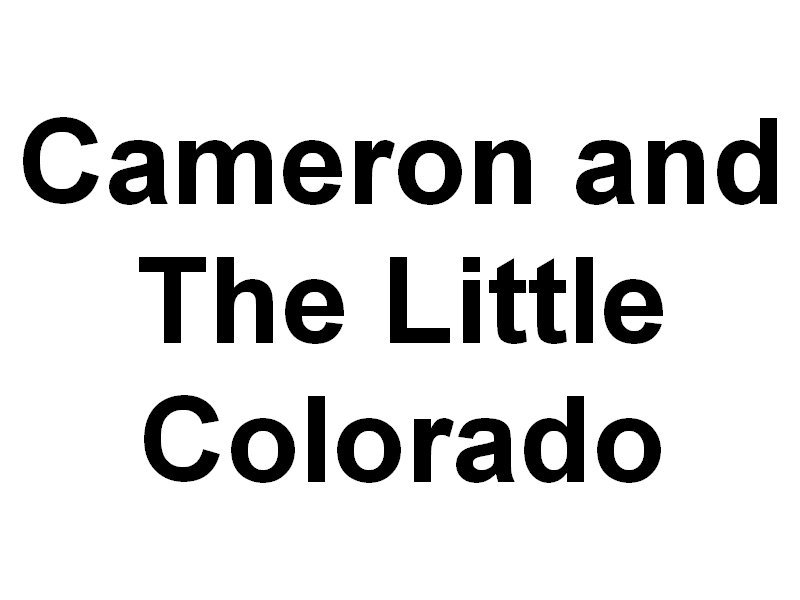 cameron.jpg