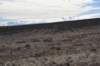 dsc_6874southofpage_small.jpg