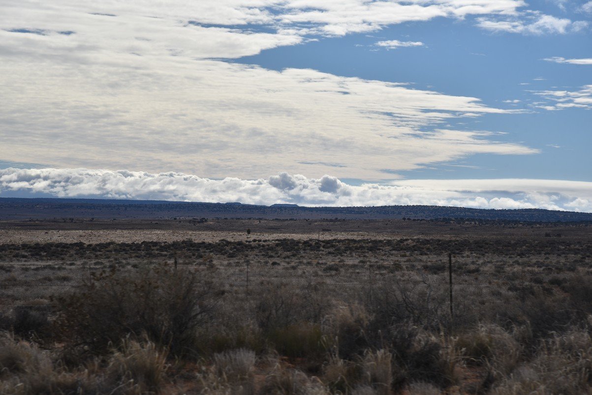 dsc_6876_fs.jpg