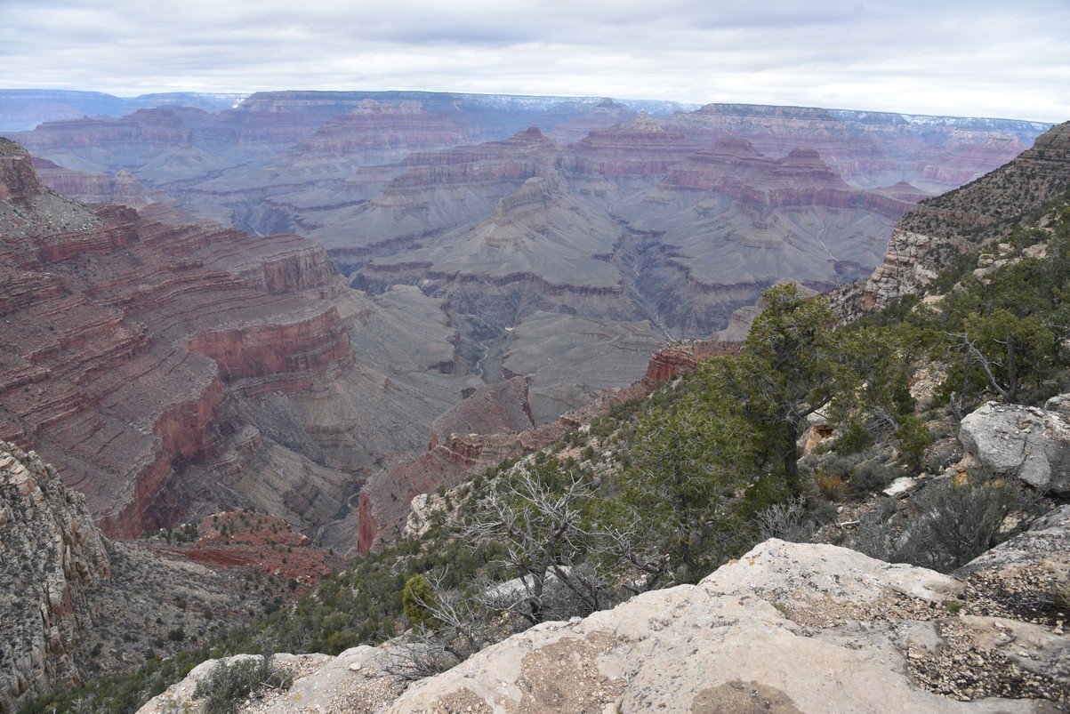 dsc_6971_fs.jpg