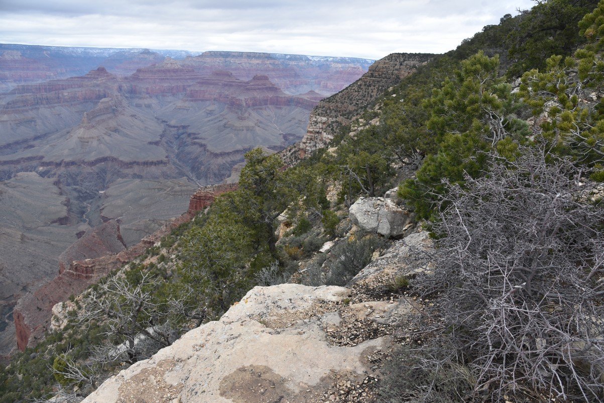 dsc_6973_fs.jpg