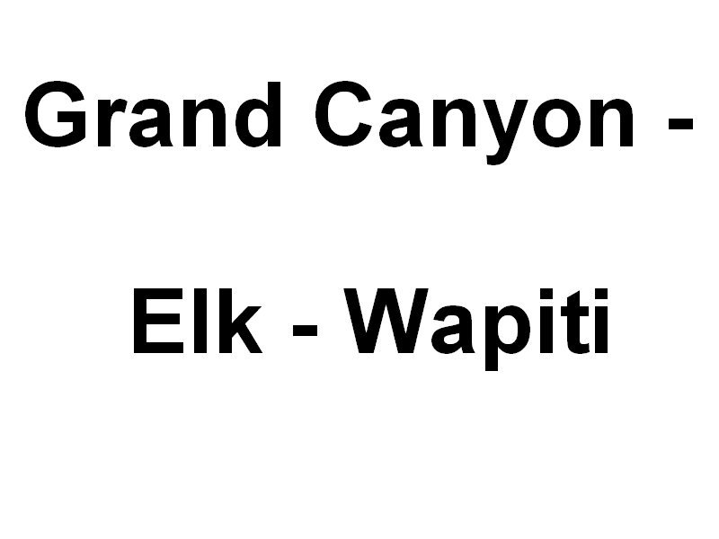 elk.jpg