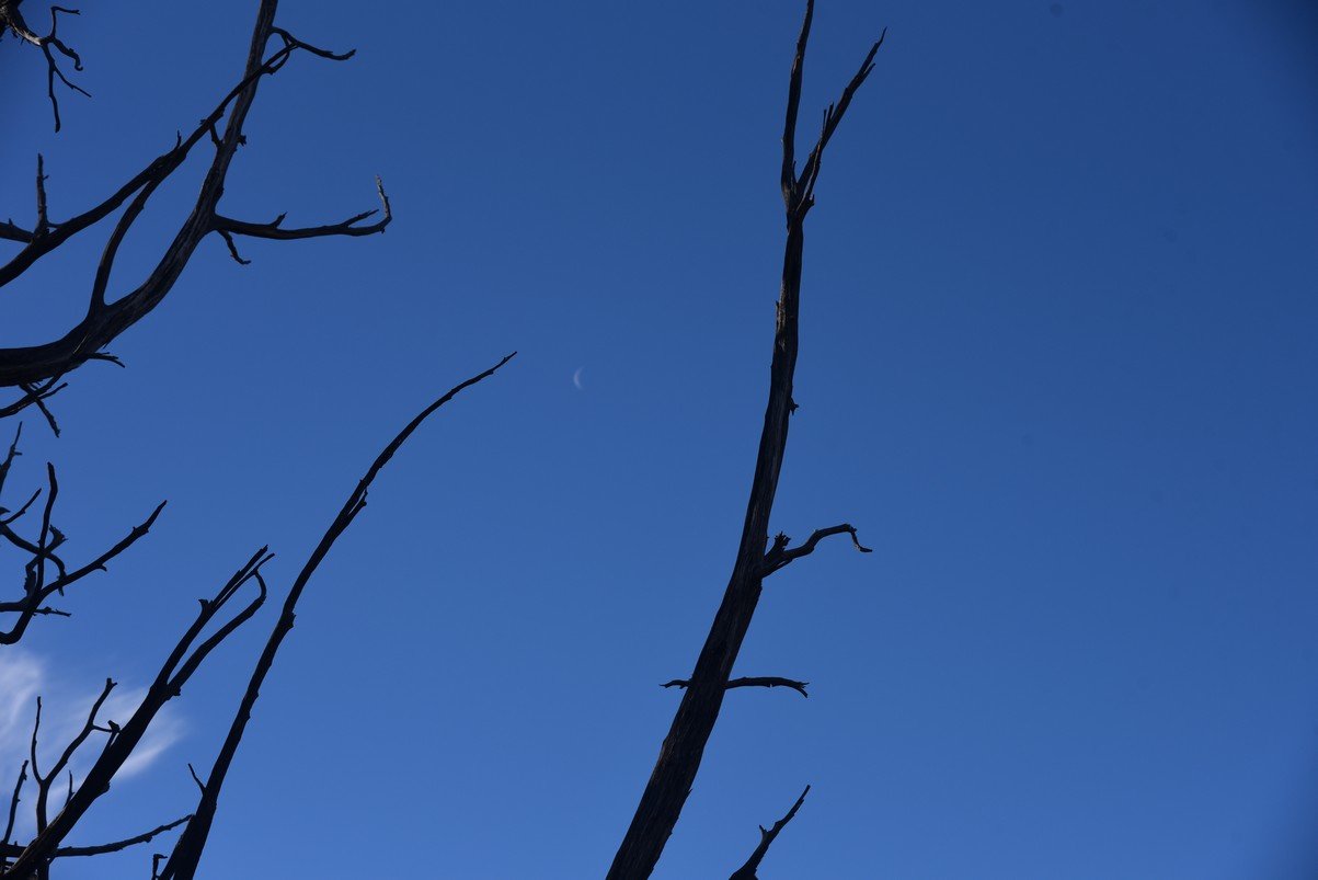 dsc_7525_fs.jpg
