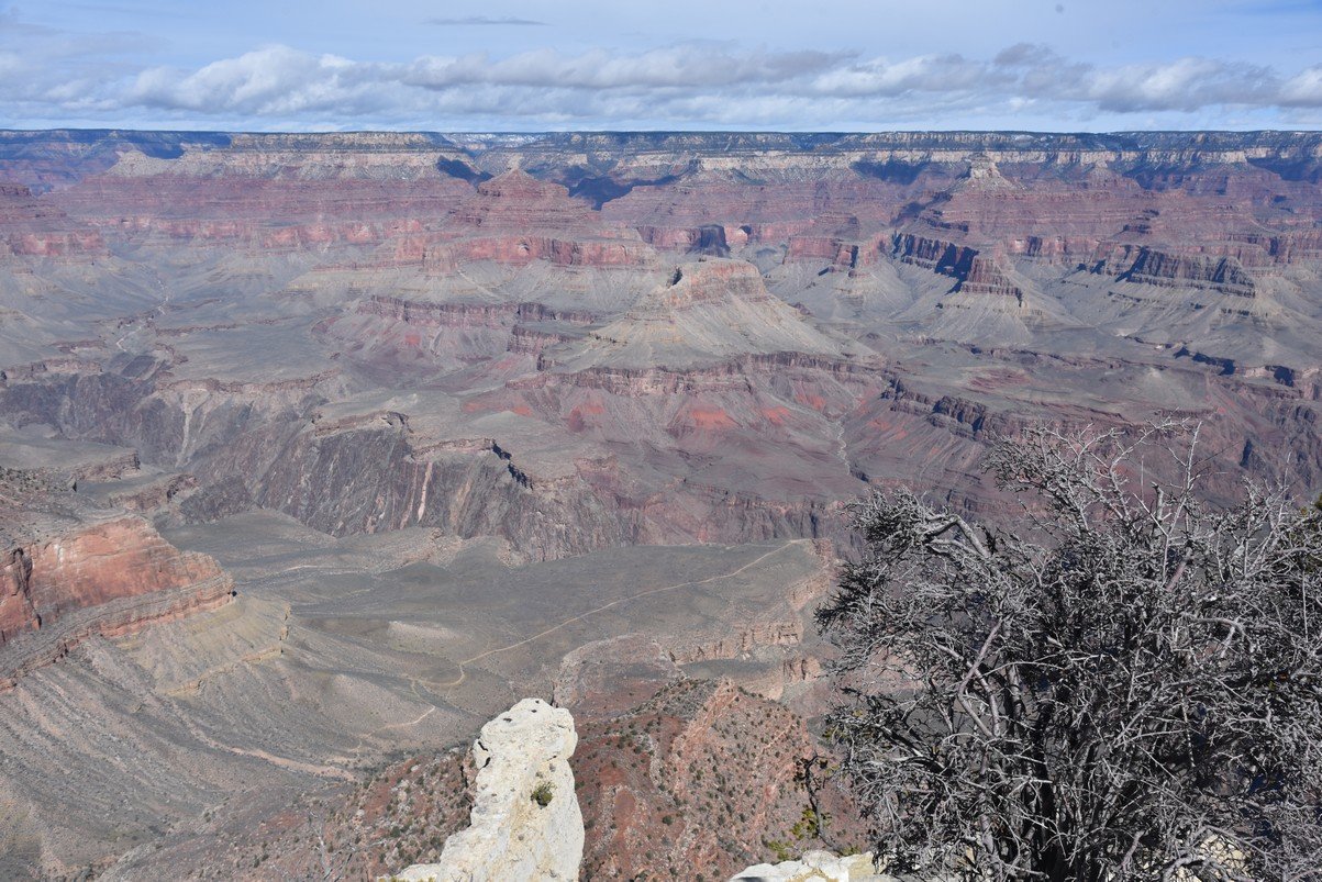 dsc_7576_fs.jpg