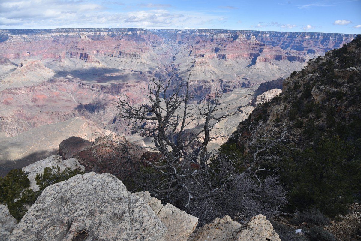 dsc_7603_fs.jpg