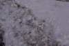 dsc_3444_fs_small.jpg