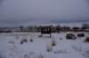 dsc_3449_fs_small.jpg