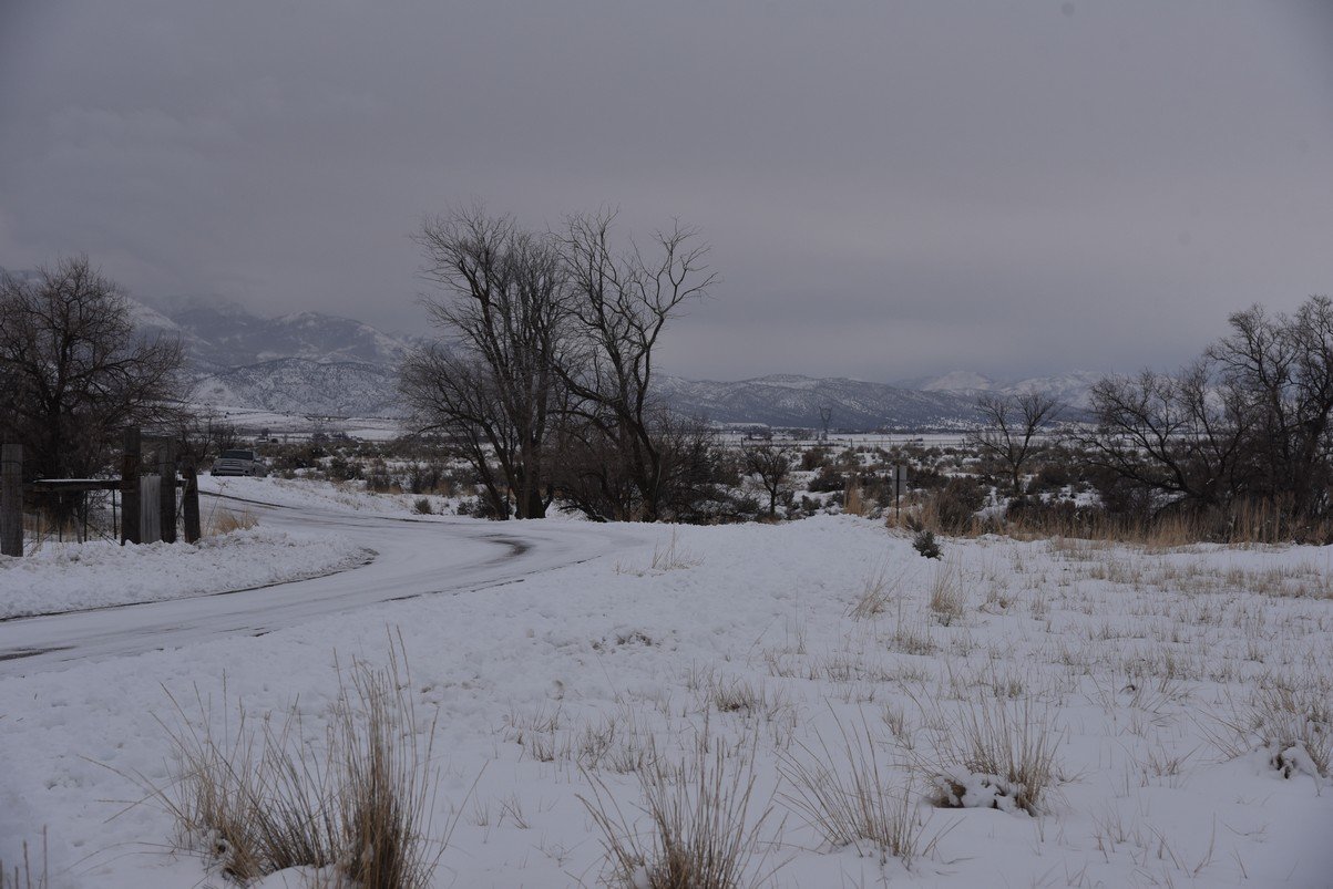dsc_3453_fs.jpg