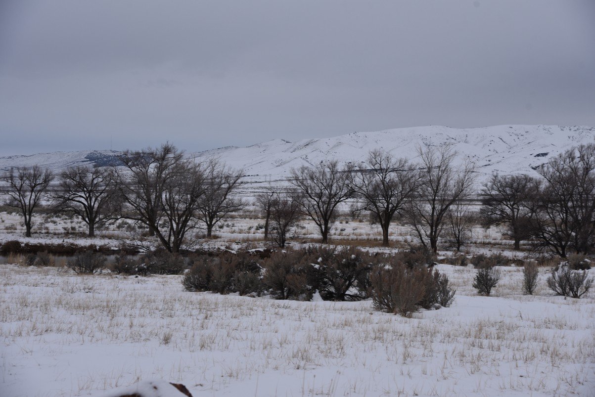 dsc_3457_fs.jpg