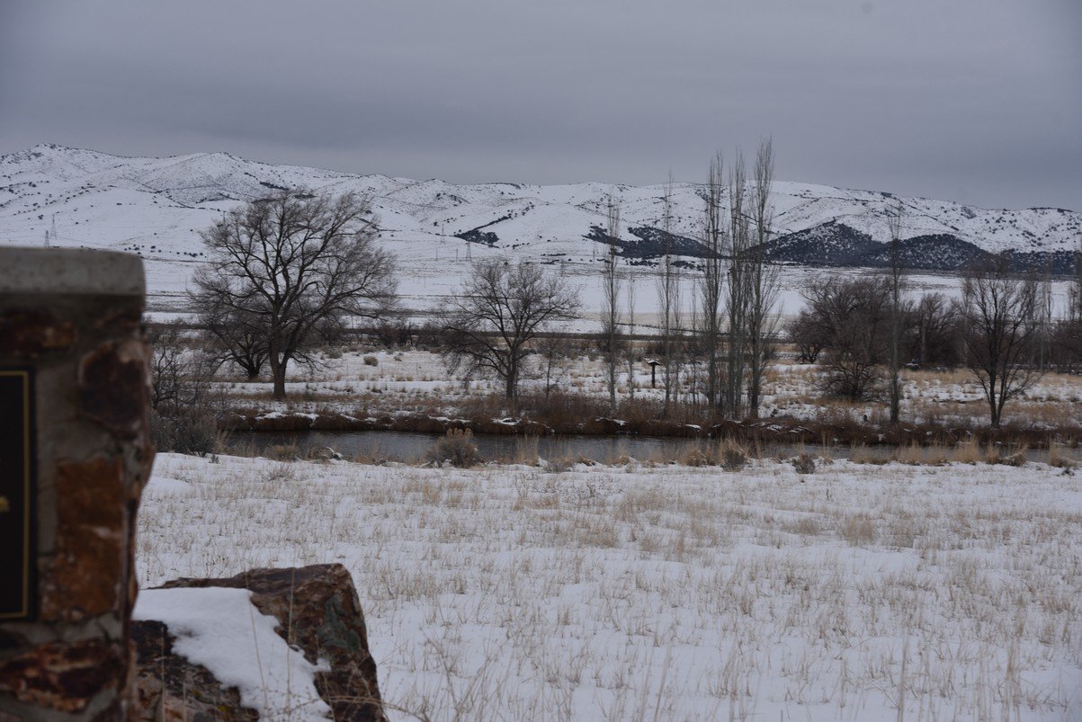 dsc_3460_fs.jpg