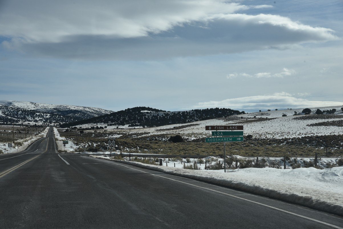 dsc_3497_fs.jpg
