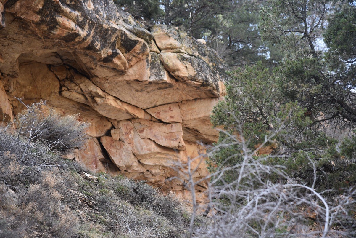 dsc_7634_fs.jpg