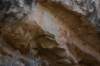 dsc_7637_fs_small.jpg