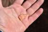 dsc_7647_fs_small.jpg