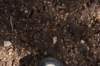 dsc_7648_fs_small.jpg