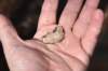 dsc_7649_fs_small.jpg