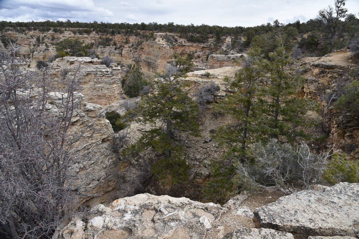 dsc_7697_fs.jpg